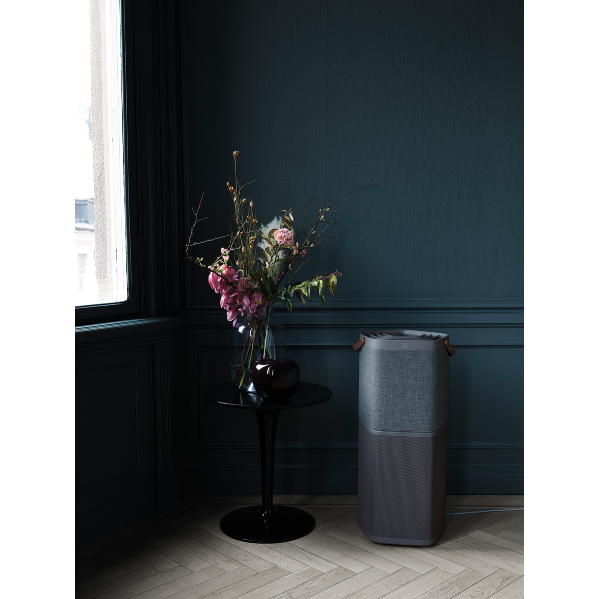 Electrolux - Skābekļa gaisa attīrītājs - PA91-604DG
