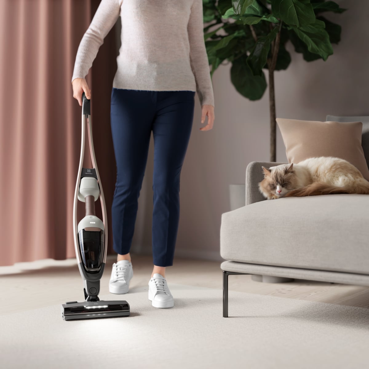 Electrolux - Bezvadu putekļsūcējs - ES62P25WET