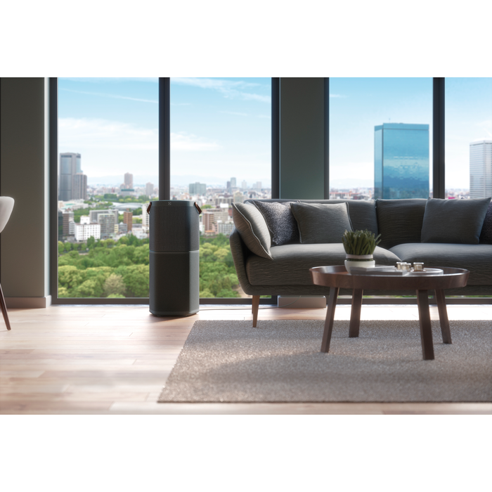 Electrolux - Skābekļa gaisa attīrītājs - PA91-604DG
