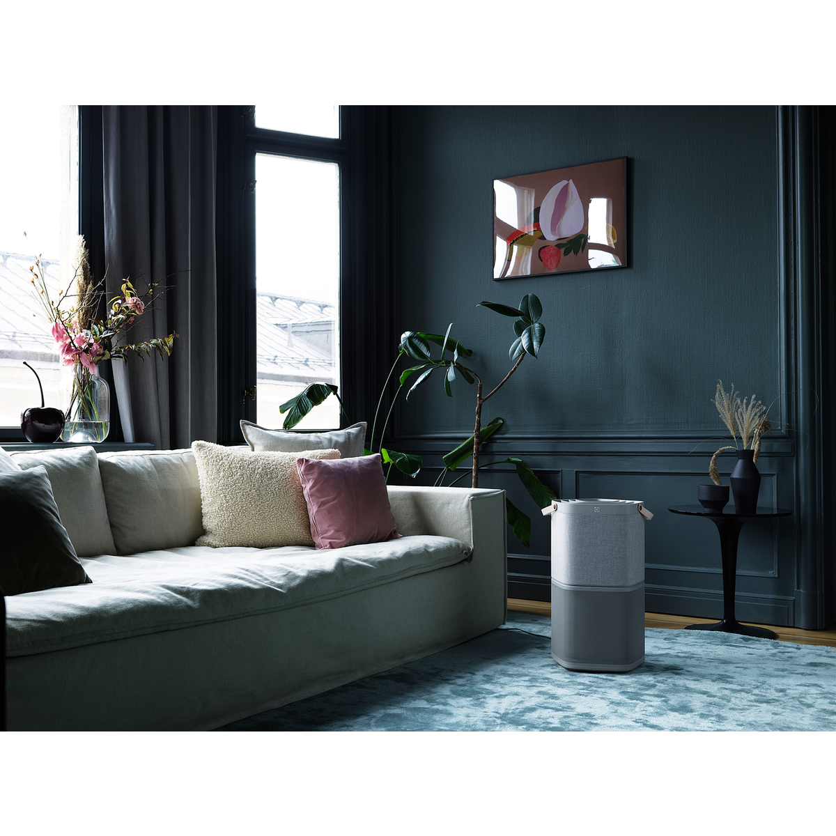 Electrolux - Skābekļa gaisa attīrītājs - PA91-604DG