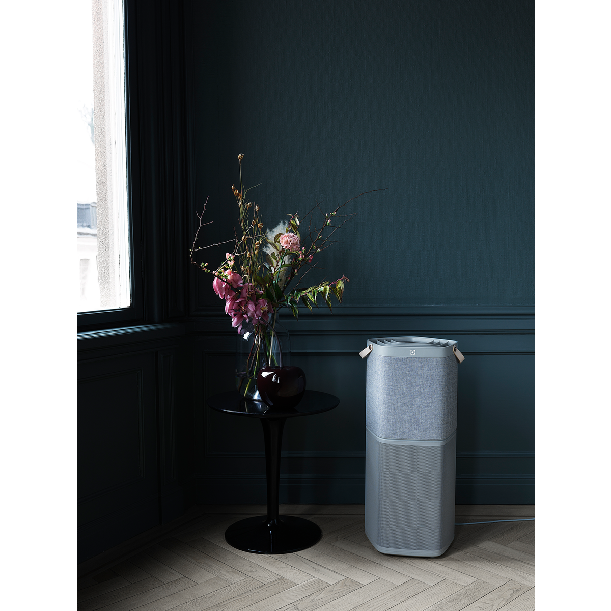 Electrolux - Skābekļa gaisa attīrītājs - PA91-604GY