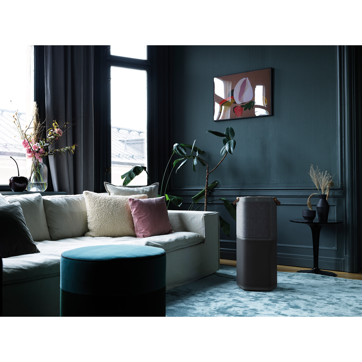 Electrolux - Skābekļa gaisa attīrītājs - PA91-604DG
