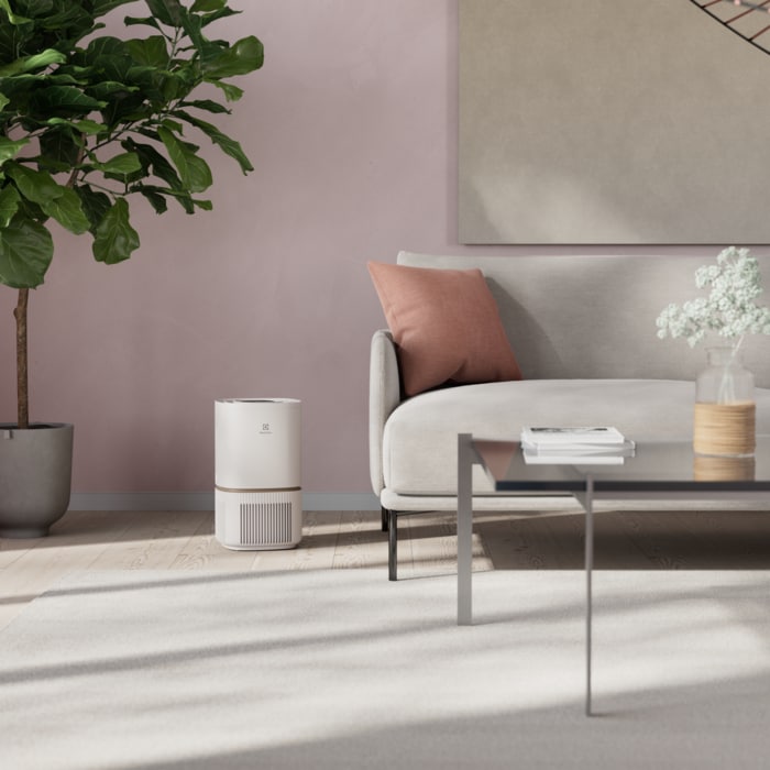 Electrolux - Skābekļa gaisa attīrītājs - EPO50351SW