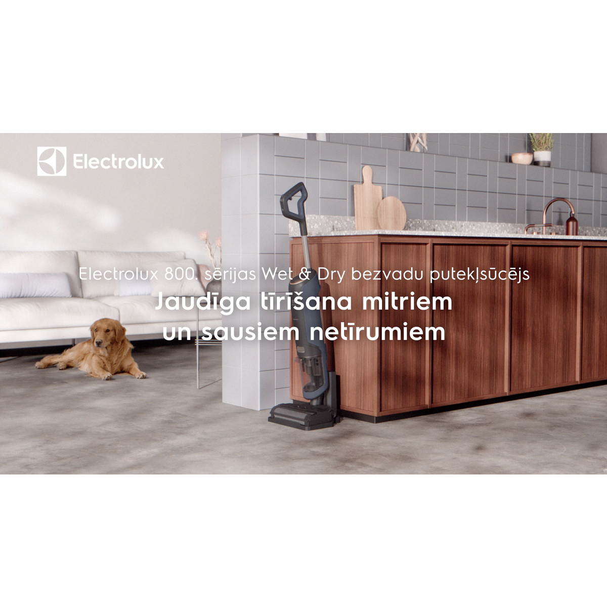 Electrolux - Wet & Dry Cordless cleaner - EW81U3DB
