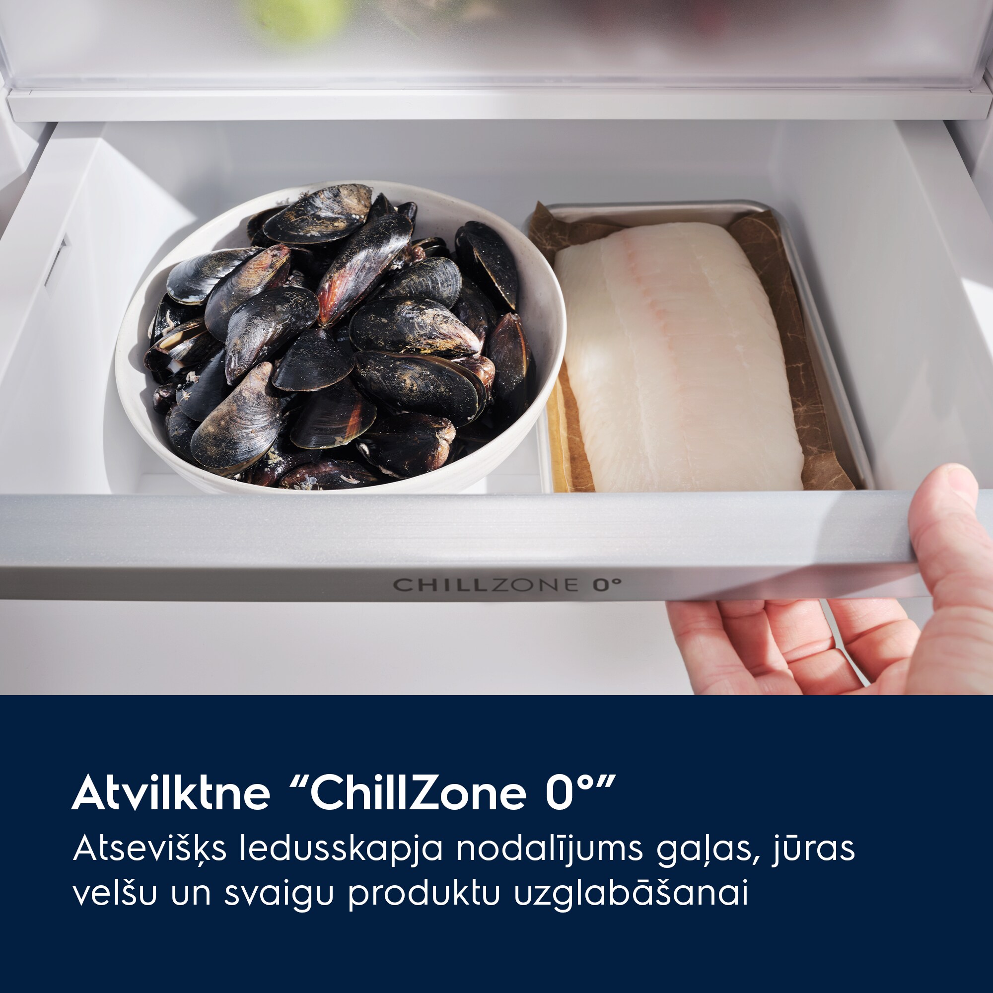 Electrolux - Brīvstāvošs ledusskapis ar saldētavu - ELT9VE52U0