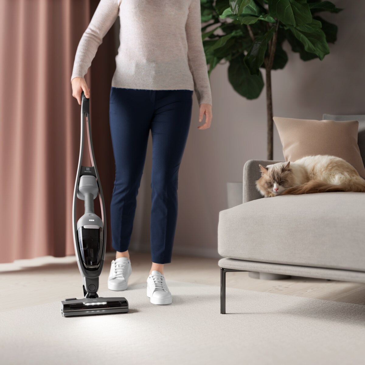 Electrolux - Bezvadu putekļsūcējs - ES62CB25UG