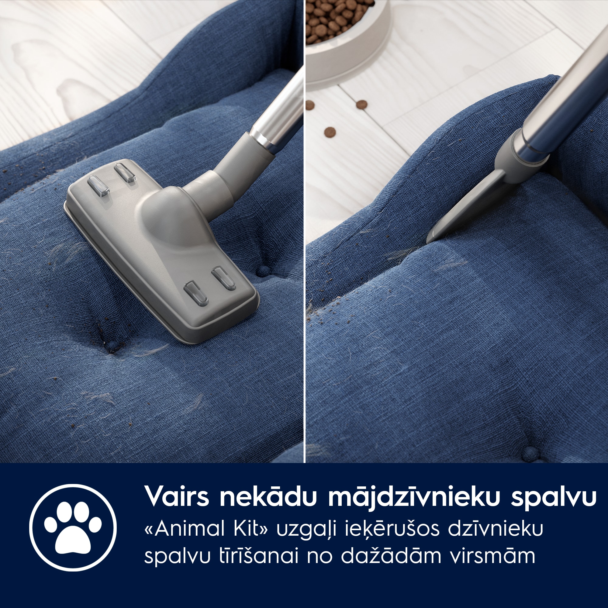 Electrolux - Putekļsūcējs ar vadu - EB61A5UG