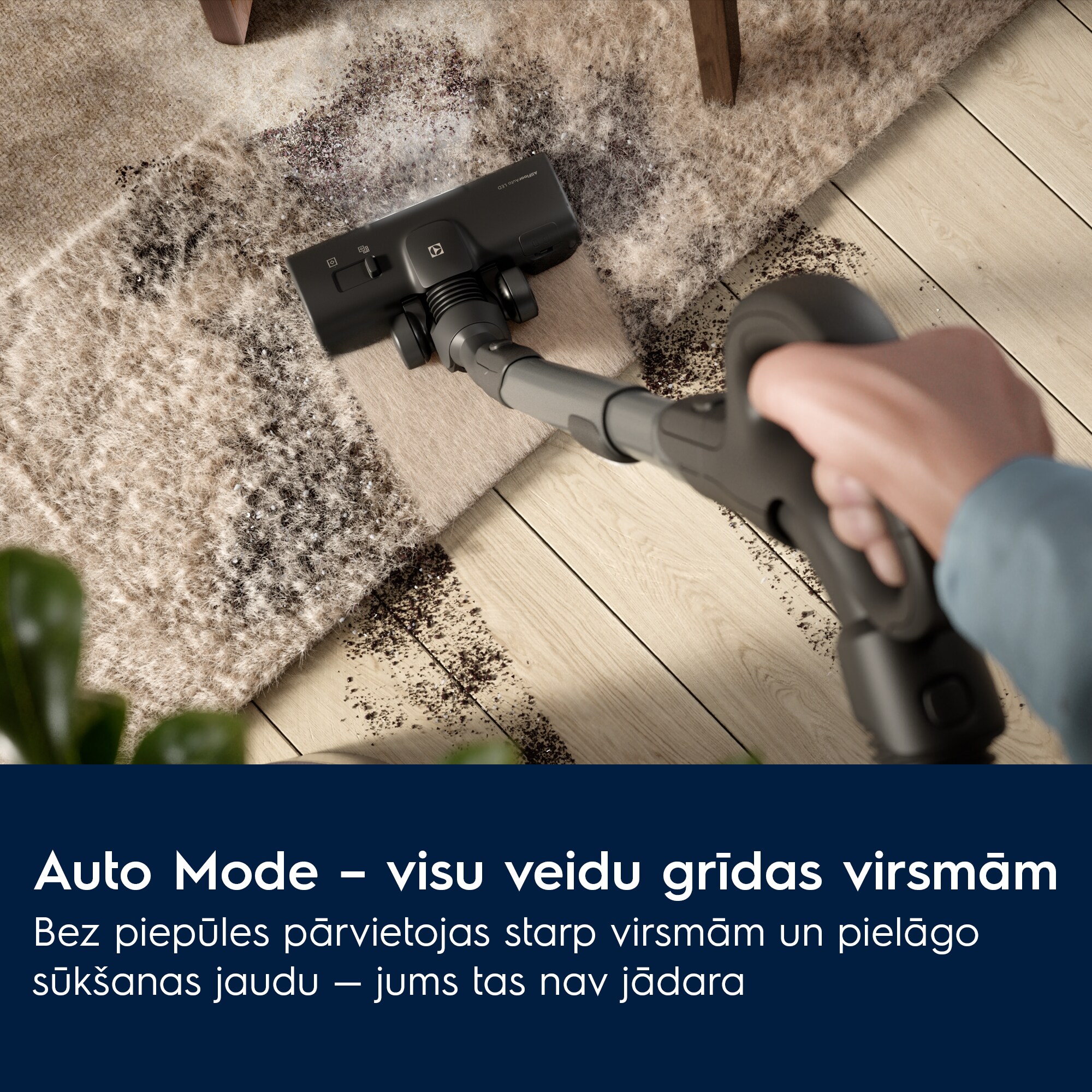 Electrolux - Putekļsūcējs ar vadu - EB81A3UG