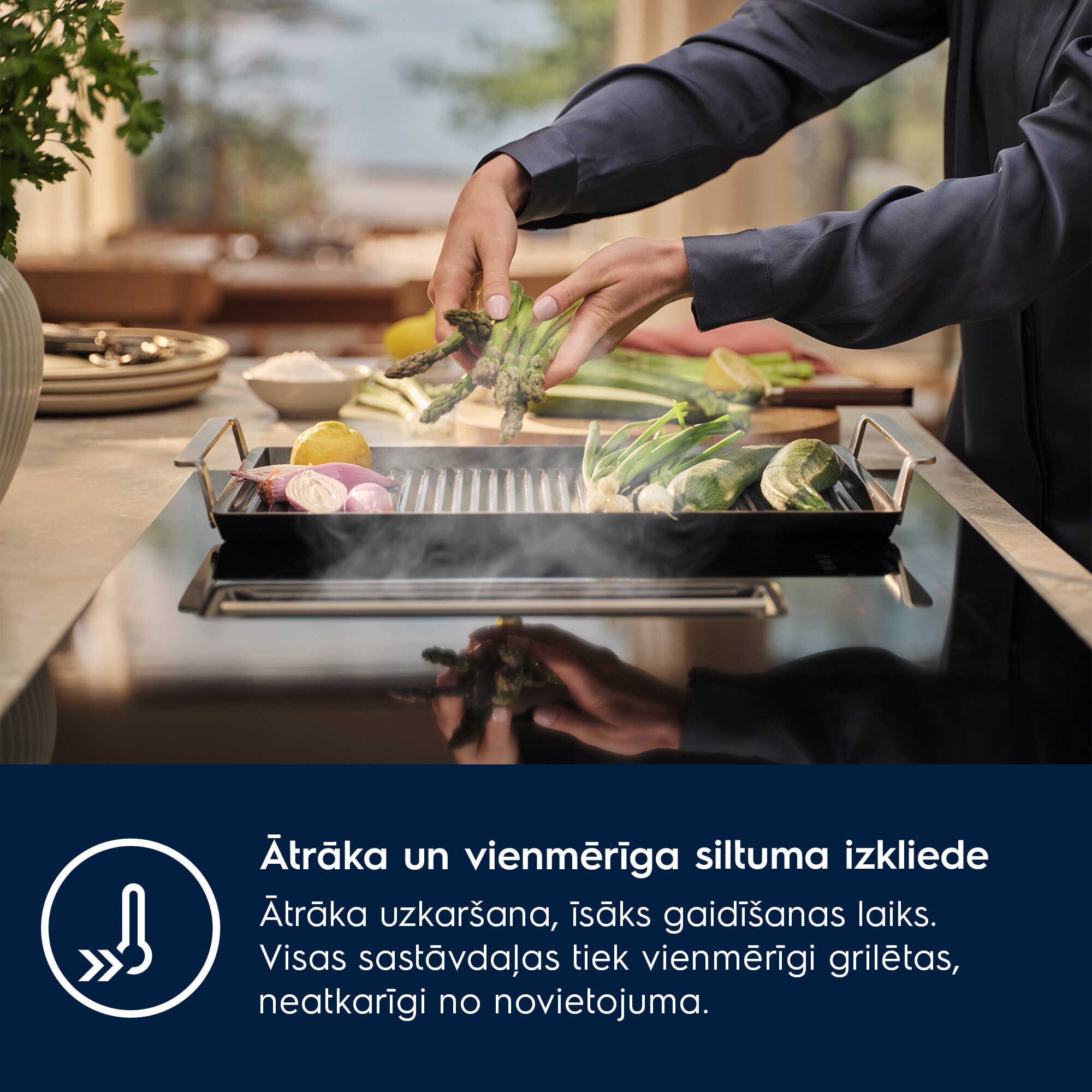 Electrolux - Grila panna - E9HHPG11