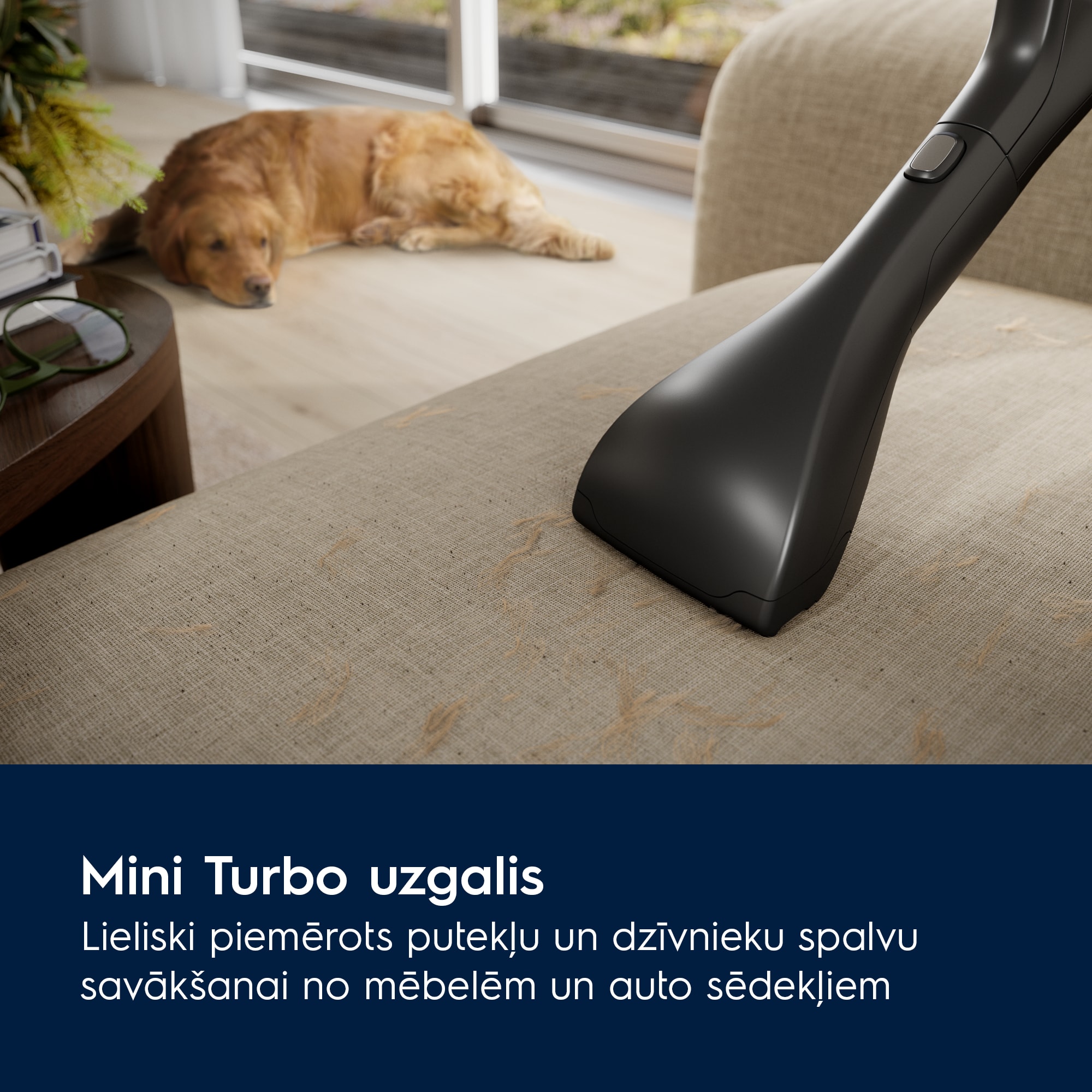 Electrolux - Putekļsūcējs ar vadu - EB81A3UG