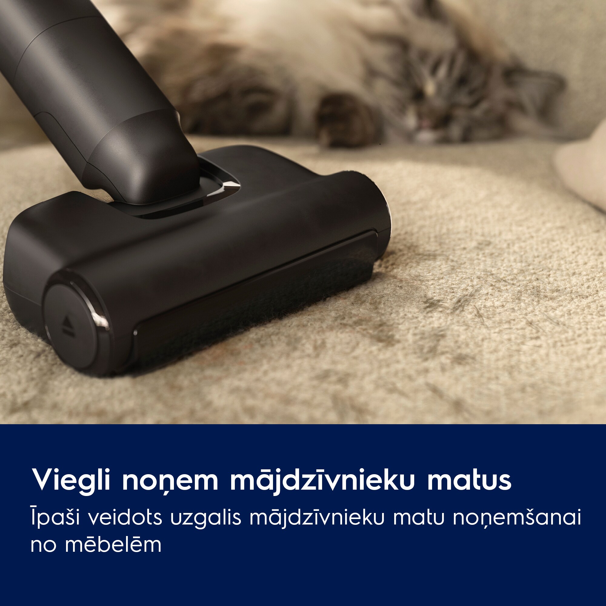 Electrolux - Bezvadu putekļsūcējs - EP82AB25UG