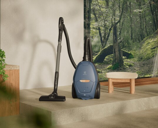 Corded vacuum cleaner in front of a painting