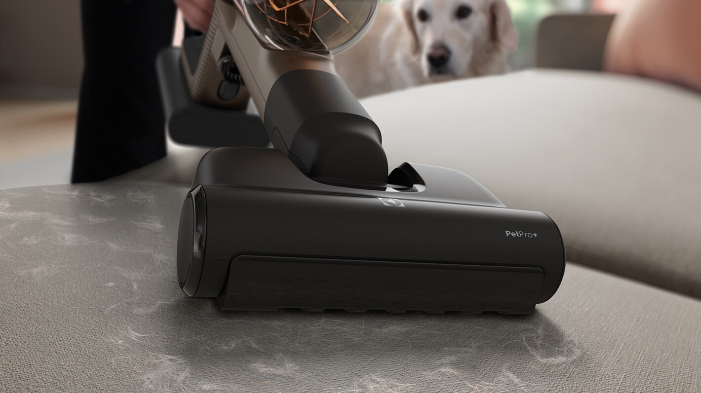 Dammsugare som städar bort djurhår