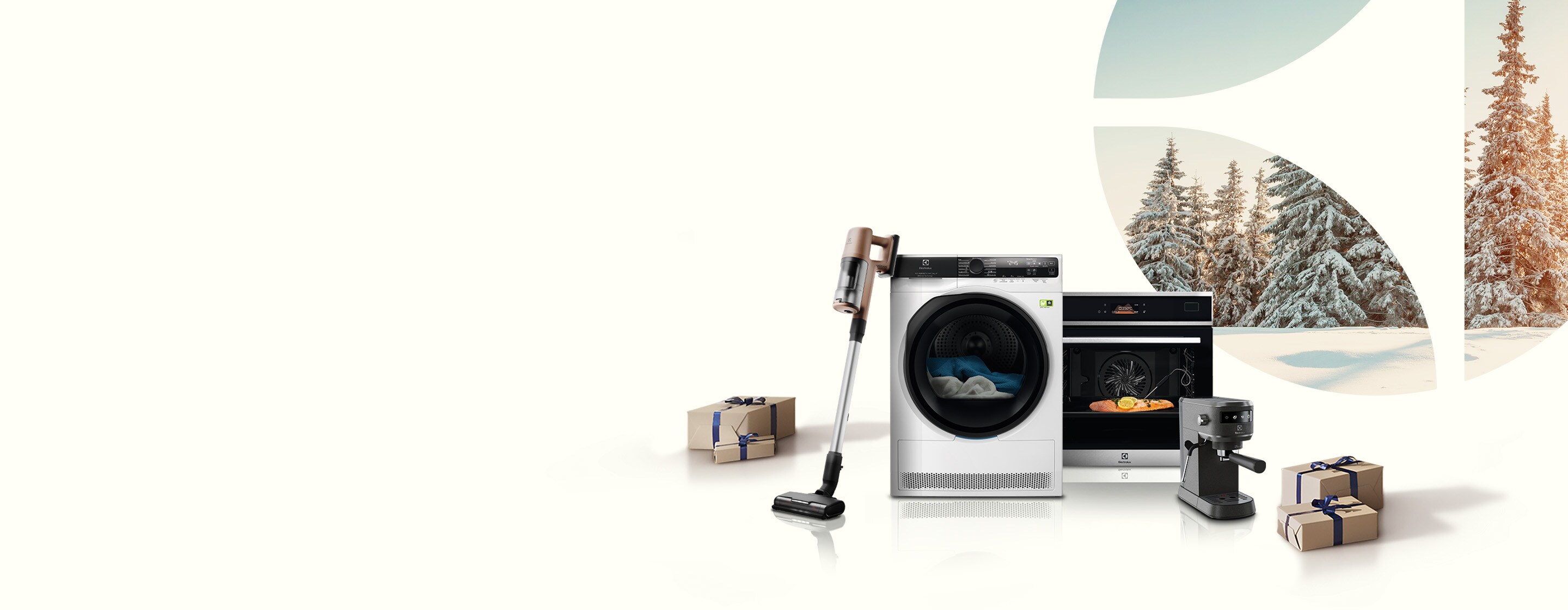 Electrolux products in snow